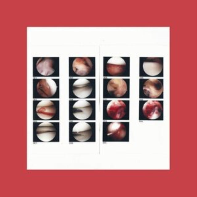 Cradle - Laughing In My Sleep (DL Card) (Vinyl) (US Import)