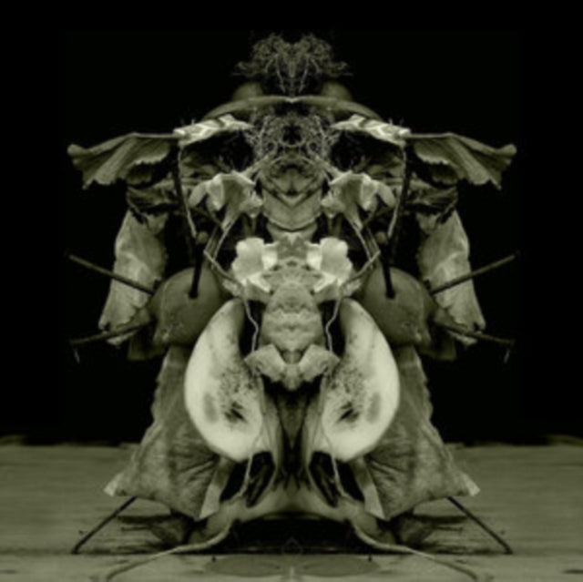 Gurun Gurun - Uzu Oto (Vinyl) (US Import)