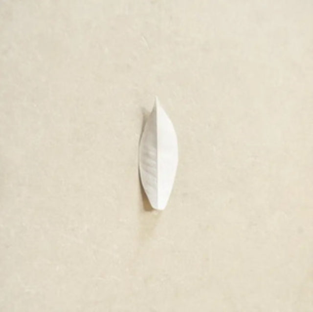 Sylvain Chauveau - Complexity Of The Simple (Vinyl) (US Import)