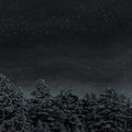 Besnard Lakes - Besnard Lakes Are The Prayers For The Death Of (Vinyl) (US Import)
