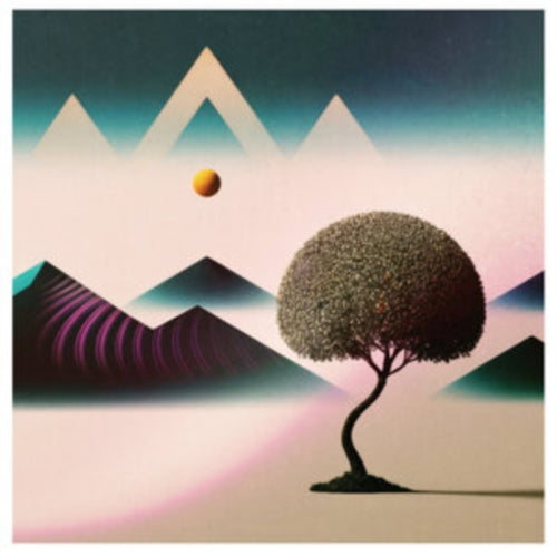 36 - Dreamloops (4LP) (Vinyl) (US Import)