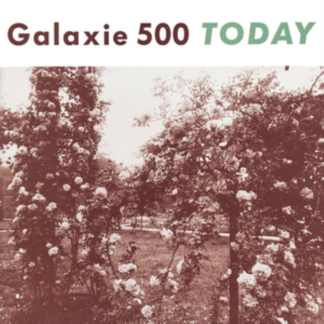 Galaxie 500 - Today (Vinyl) (US Import)