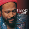 Marvin Gaye - Collected (180g/Gatefold) (Vinyl) (US Import)