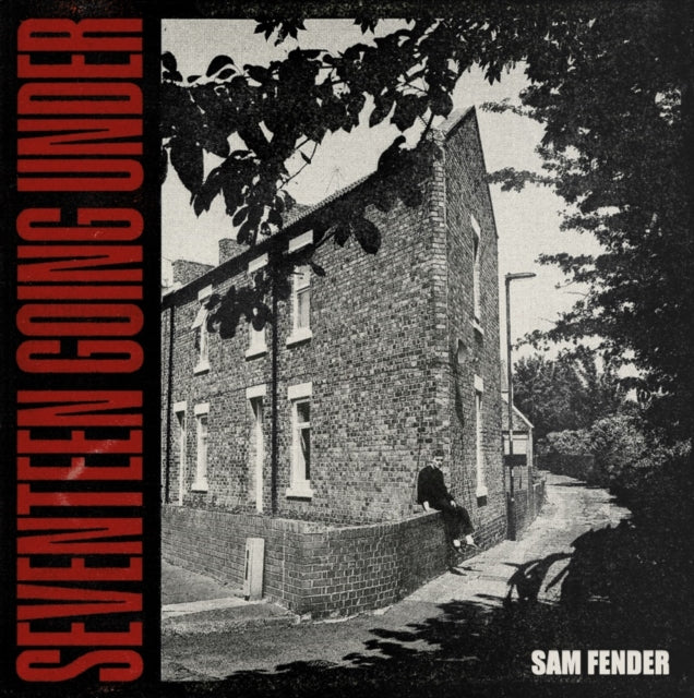 Sam Fender - Seventeen Going Under (Vinyl) (US Import)