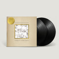 Patrick Kavanagh - Almost Everything... (2LP) (Vinyl) (US Import)