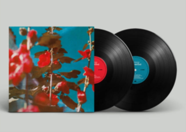 Chad Lawson - Breathe (2LP) (Vinyl) (US Import)