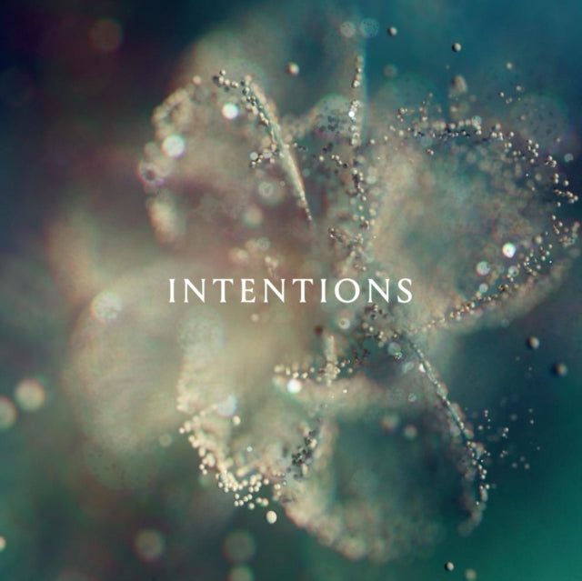 Anna - Intentions (2LP) (Vinyl) (US Import)