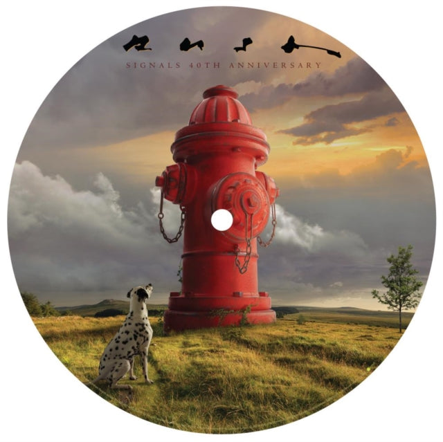 Rush - Signals (Picture Disc) (Vinyl) (US Import)