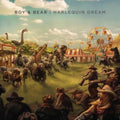 Boy & Bear - Harlequin Dream (Vinyl) (US Import)