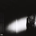 Destroy Lonely - No Stylist (Vinyl) (US Import)