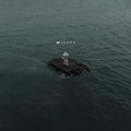 NF - Hope (2LP) (Vinyl) (US Import)
