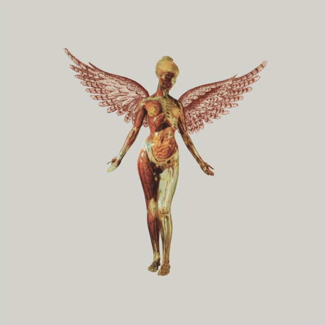Nirvana - In Utero (30th Anniversary) (8LP) (Vinyl) (US Import)