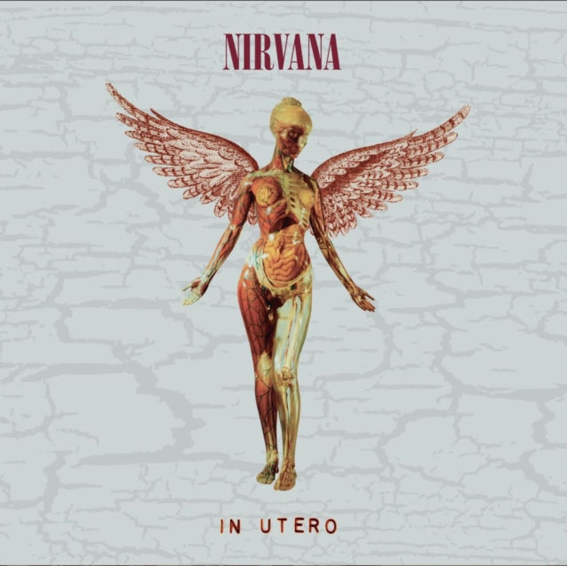 Nirvana - In Utero (30th Anniversary) (2CD) (CD)