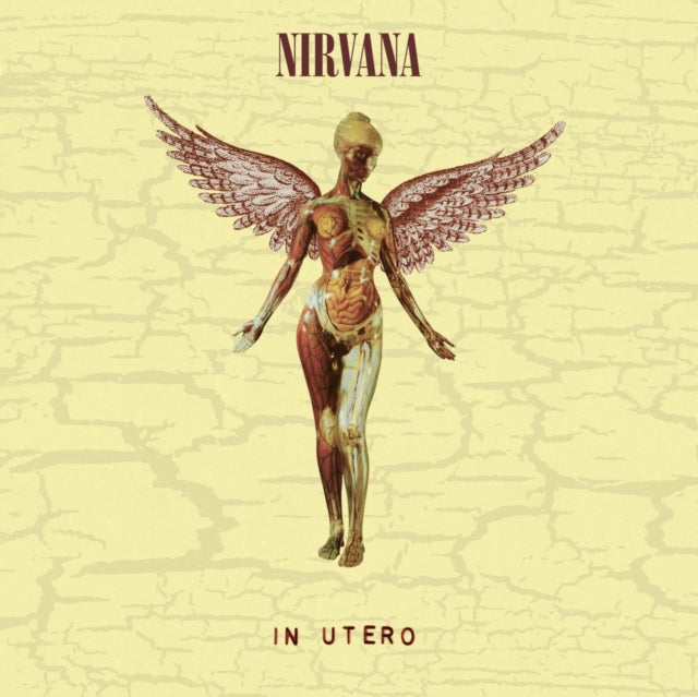 Nirvana - In Utero (30th Anniversary) (LP/10 Inch) (Vinyl) (US Import)