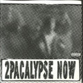 2PAC - 2Pacalypse Now (Picture Disc) (Vinyl) (US Import)