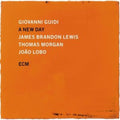 Guidi,Giovanni; James Brandon Lewis; Thomas Morgan & Joao Lobo - New Day (Vinyl) (US Import)