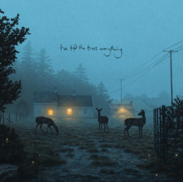 Dermot Kennedy - I've Told The Trees Everything (Vinyl) (US Import)