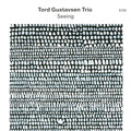 Tord Trio Gustavsen - Seeing (Vinyl) (US Import)