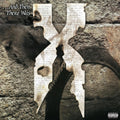 DMX - ...And Then There Was X (X) (Black Ice Vinyl/2LP) (Vinyl) (US Import)