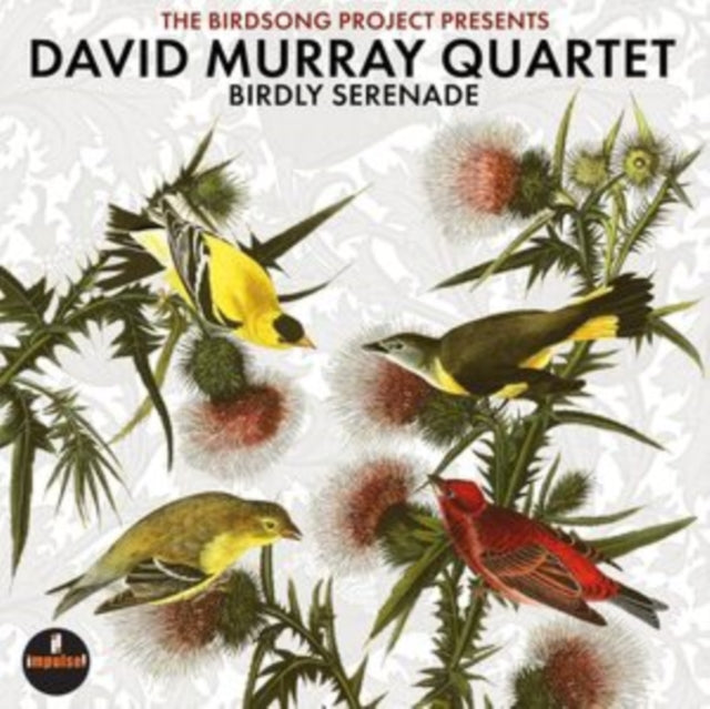 David Quartet Murray - Birdly Serenade (2LP) (Vinyl) (US Import)