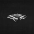 Kendrick Lamar - To Pimp A Butterfly (X) (10 Year Anniversary Edition/Alternate Artwork/180g/2LP) (Vinyl) (US Import)