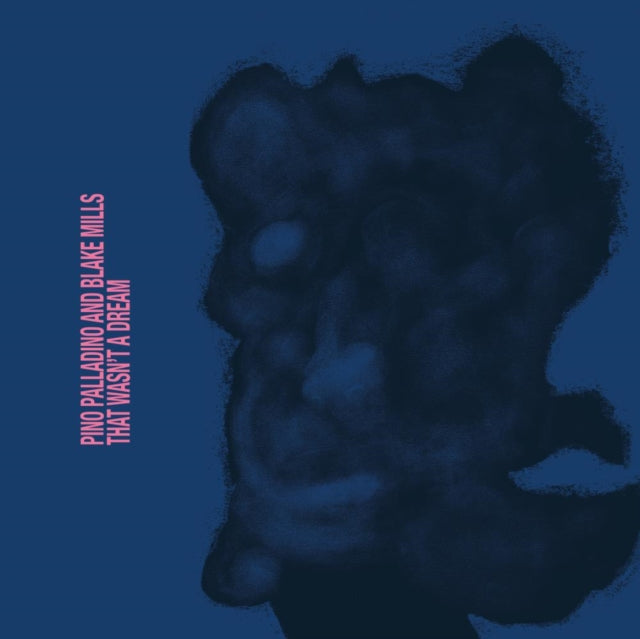 Palladino,Pino; Blake Mills - That Wasn't A Dream (Vinyl) (US Import)