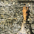 Siouxsie & The Banshees - Ju Ju (CD)