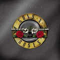 Guns N' Roses - Greatest Hits (2LP) (Vinyl) (US Import)