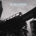 Wallflowers - Collected: 1996 - 2005 (CD)