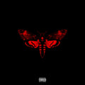 Lil Wayne - I Am Not A II(Ex-Dlx (CD)
