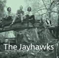 Jayhawks - Tomorrow The Green Grass (Vinyl) (US Import)