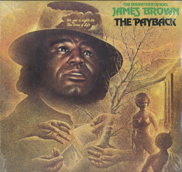James Brown - Payback (Vinyl) (US Import)