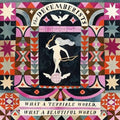 Decemberists - What A Terrible World What A Beautiful World (Vinyl) (US Import)