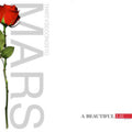 Thirty Seconds To Mars - Beautiful Lie (Vinyl) (US Import)