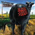Blink-182 - Dude Ranch (Vinyl) (US Import)
