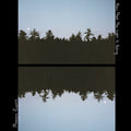 Maggie Rogers - Now That The Light Is Fading (Vinyl) (US Import)