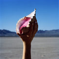 Killers - Wonderful Wonderful (Vinyl) (US Import)