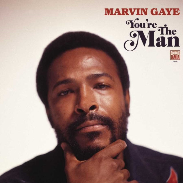 Marvin Gaye - You're The Man (2LP) (Vinyl) (US Import)