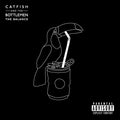 Catfish & The Bottlemen - Balance (180g) (Vinyl) (US Import)