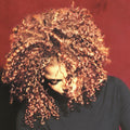 Janet Jackson - Velvet Rope (2LP) (Vinyl) (US Import)