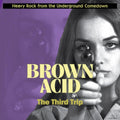 Various Artists - Brown Acid: The Third Trip (Vinyl) (US Import)
