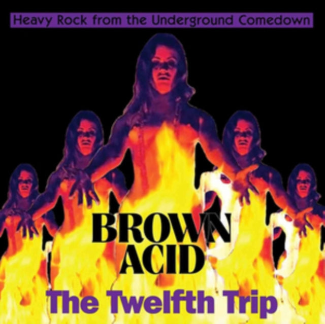 Various Artists - Brown Acid: The Twelfth Trip (CD)