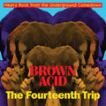 Various Artists - Brown Acid: The Fourteenth Trip (Vinyl) (US Import)