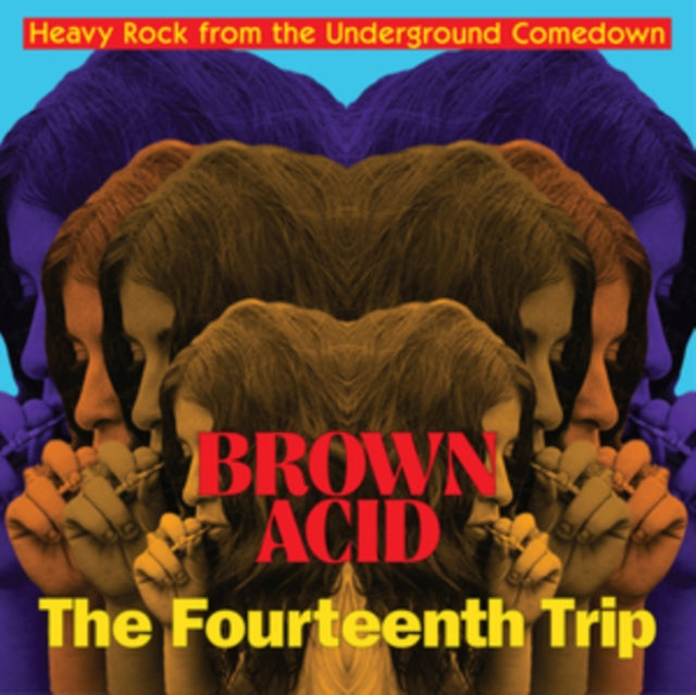 Various Artists - Brown Acid: The Fourteenth Trip (Vinyl) (US Import)