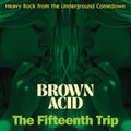 Various Artists - Brown Acid: The Fifteenth Trip (CD)