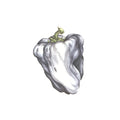 Ween - White Pepper (Green Vinyl) (Vinyl) (US Import)
