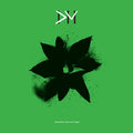Depeche Mode - Exciter / The 12 Inch Singles (8LP) (Vinyl) (US Import)