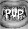 Pup - Pup (5th Annniversary) (Vinyl) (US Import)