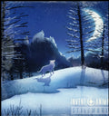 Invent Animate - Stillworld (Vinyl) (US Import)