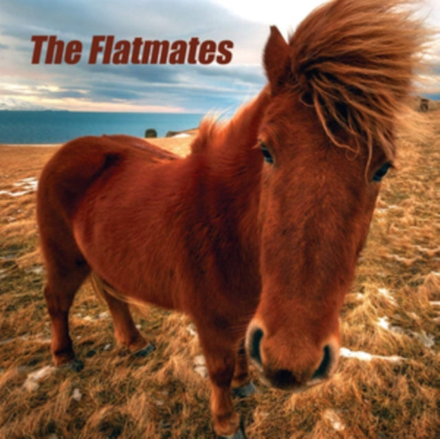 Flatmates - Flatmates (Vinyl) (US Import)